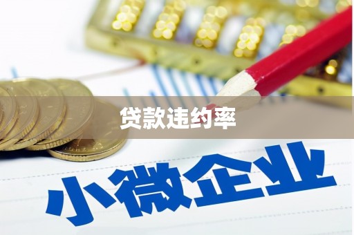 武夷山贷款违约率