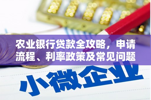 武夷山农业银行贷款全攻略，申请流程、利率政策及常见问题解析