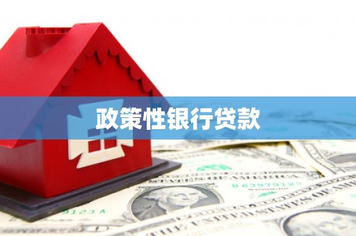 武夷山政策性银行贷款