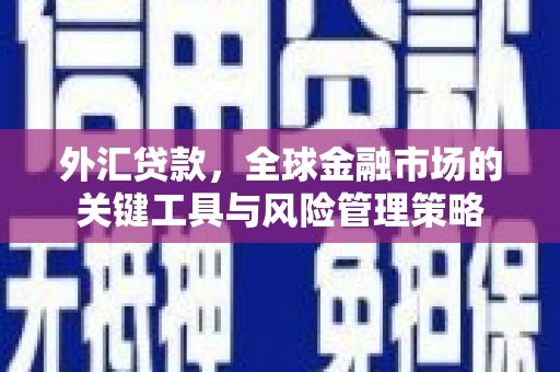 武夷山外汇贷款，全球金融市场的关键工具与风险管理策略