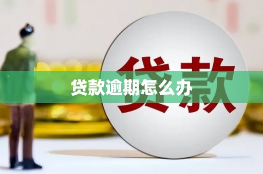 武夷山贷款逾期怎么办