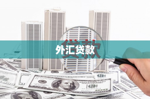 武夷山外汇贷款