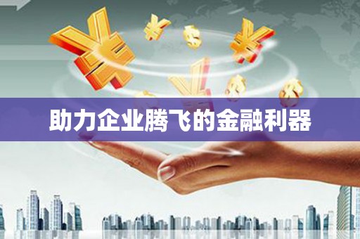 武夷山助力企业腾飞的金融利器