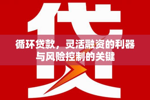 武夷山循环贷款，灵活融资的利器与风险控制的关键