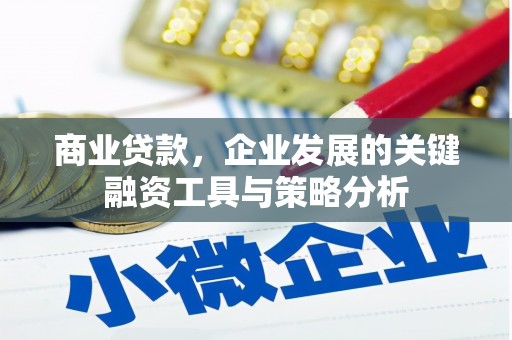 武夷山商业贷款，企业发展的关键融资工具与策略分析