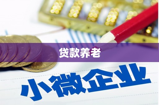 武夷山贷款养老