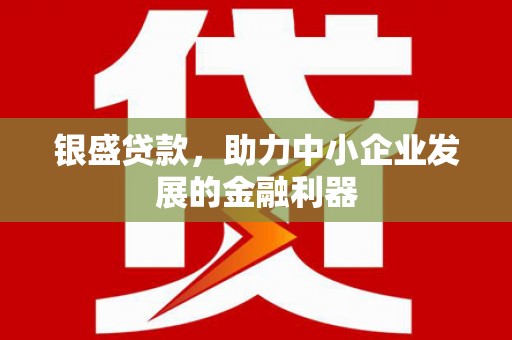 武夷山银盛贷款，助力中小企业发展的金融利器