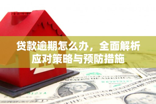 武夷山贷款逾期怎么办，全面解析应对策略与预防措施