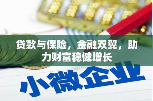武夷山贷款与保险，金融双翼，助力财富稳健增长
