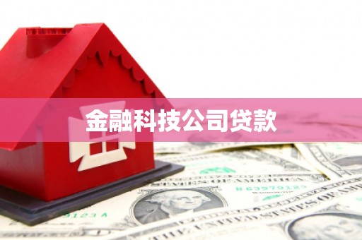 武夷山金融科技公司贷款
