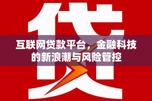 武夷山互联网贷款平台，金融科技的新浪潮与风险管控