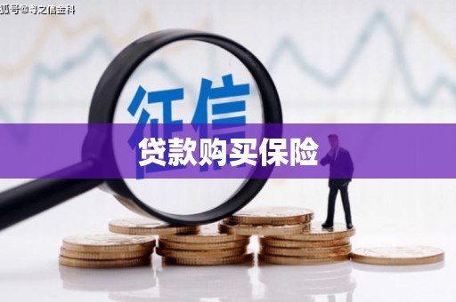 武夷山贷款购买保险