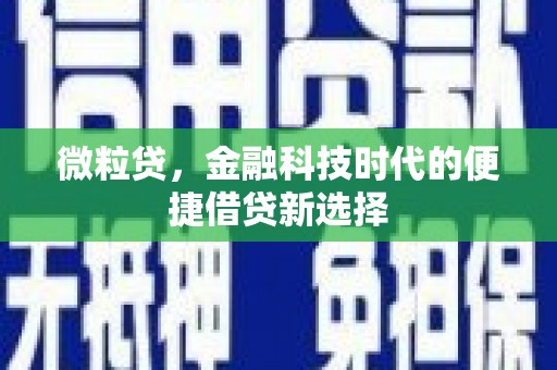 武夷山微粒贷，金融科技时代的便捷借贷新选择