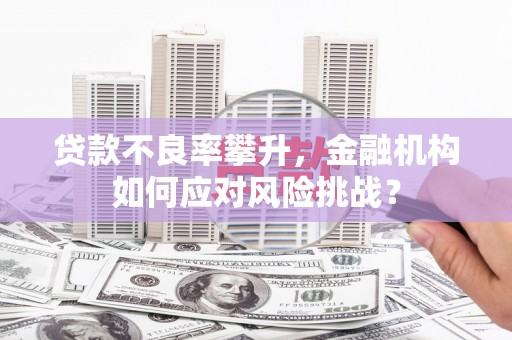 武夷山贷款不良率攀升，金融机构如何应对风险挑战？