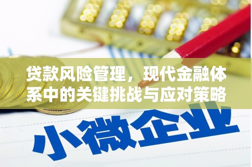 武夷山贷款风险管理，现代金融体系中的关键挑战与应对策略