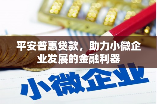 武夷山平安普惠贷款，助力小微企业发展的金融利器