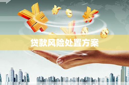 武夷山贷款风险处置方案