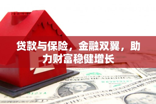 武夷山贷款与保险，金融双翼，助力财富稳健增长