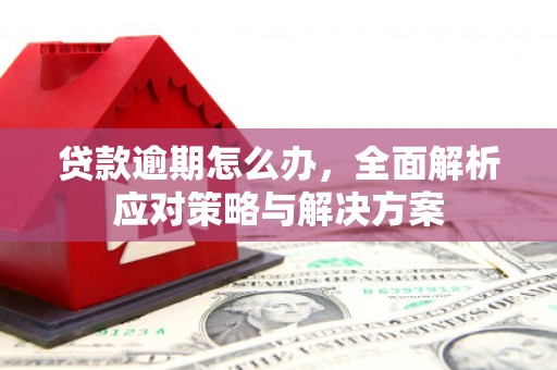 武夷山贷款逾期怎么办，全面解析应对策略与解决方案