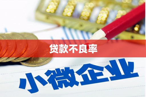 武夷山贷款不良率