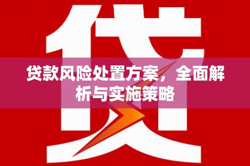 武夷山贷款风险处置方案，全面解析与实施策略
