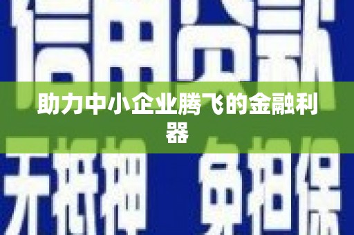 武夷山助力中小企业腾飞的金融利器