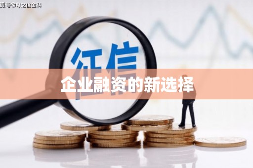 武夷山企业融资的新选择